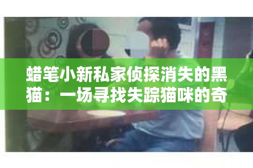 蜡笔小新私家侦探消失的黑猫：一场寻找失踪猫咪的奇妙冒险