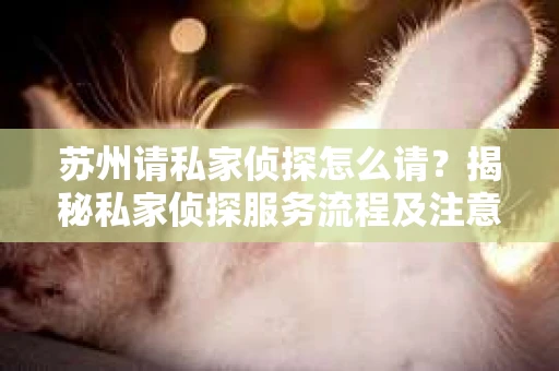 苏州请私家侦探怎么请？揭秘私家侦探服务流程及注意事项