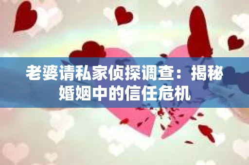 老婆请私家侦探调查：揭秘婚姻中的信任危机